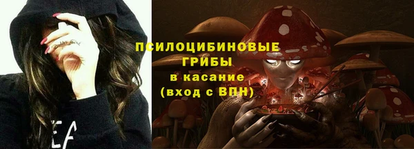 СК Абдулино