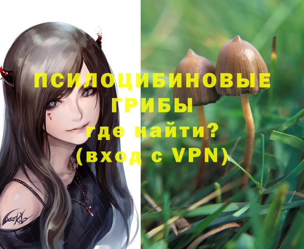 СК Абдулино